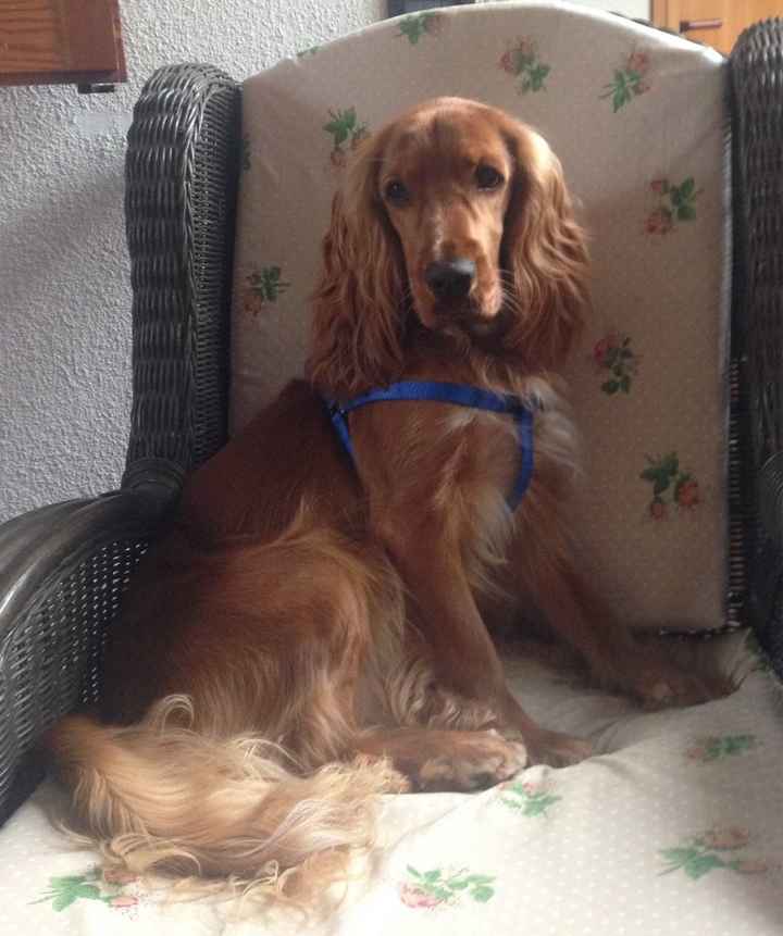 Se non ci fossero loro... - 3