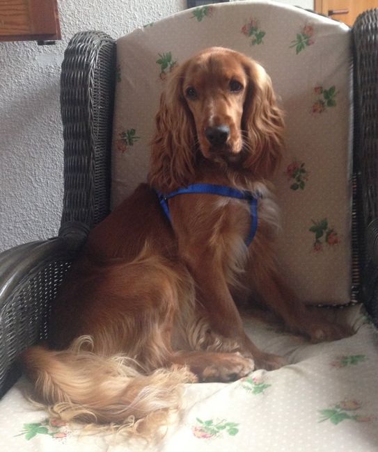 Se non ci fossero loro... - 3