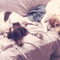 i nostri due meravigliosi PORTAFEDI! 