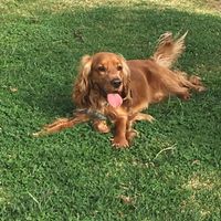 Se non ci fossero loro... - 1