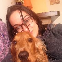 Se non ci fossero loro... - 2