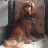 Se non ci fossero loro... - 3