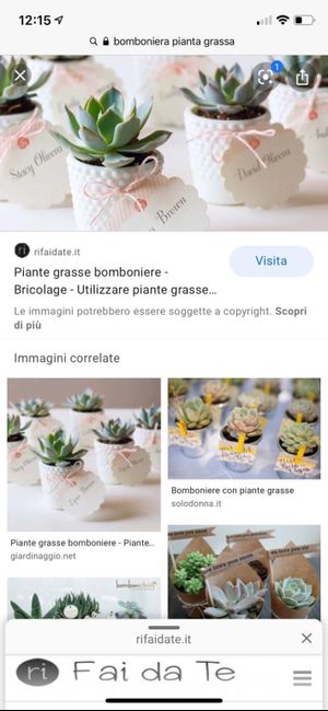 Piante grasse come bomboniere? 1