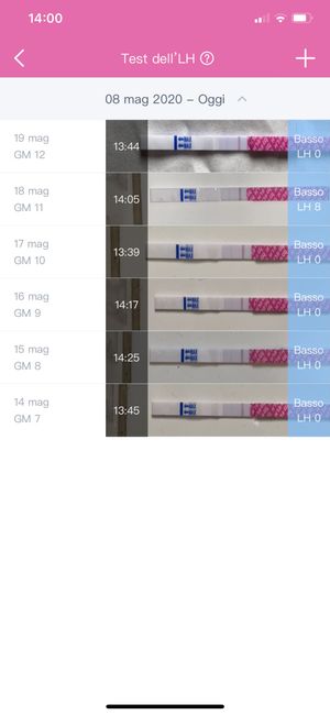 Chi non le aspetta per giugno 2020🥰🤞🏻 - 1