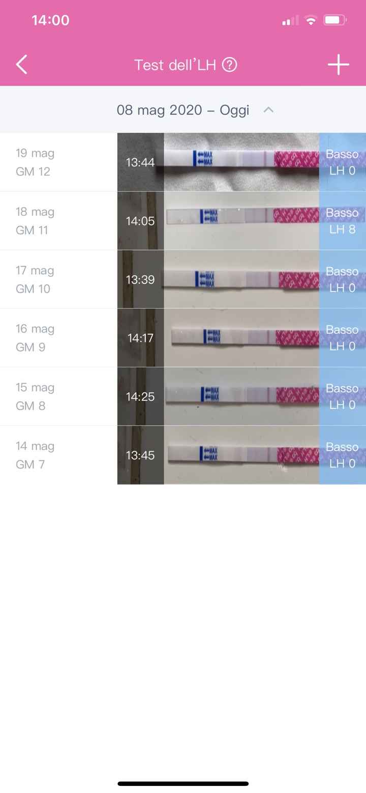 Chi non le aspetta per giugno 2020🥰🤞🏻 - 1