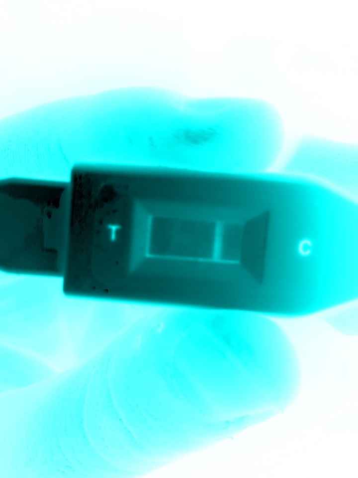 Vedete la linea? - 1