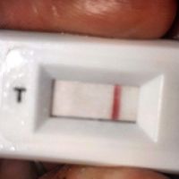 Vedete la linea? - 2