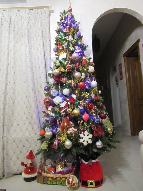L’albero di Natale! 🎄 - 2