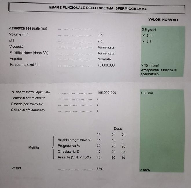 Risultato spermiogramma - 1