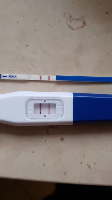 Temperatura basale nel pm. Aiuto. - 1