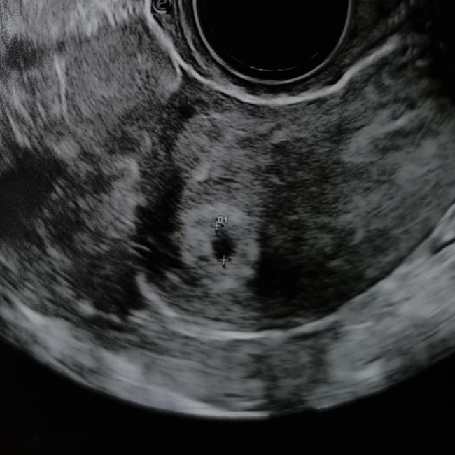 Chi non le aspetta x Gennaio 2021❤️💪🏻🤞🏻🎉🍀🍀 1