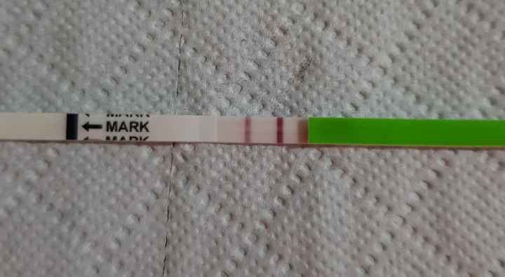 Chi non le aspetta per Marzo 2020 - 1