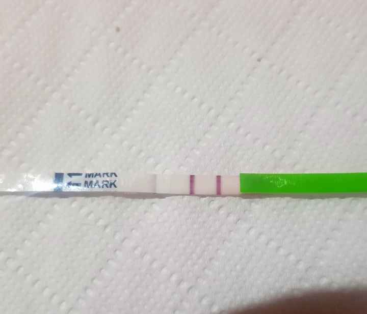 Chi non le aspetta per Marzo 2020 - 1