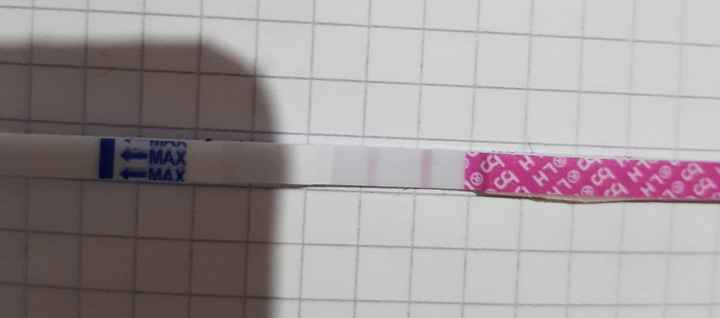 Primo monitoraggio. Mi date una mano? - 1