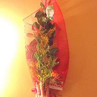 Regalo da fm! auguri donne! - 1