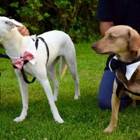 Finalmente sposi!! - 11