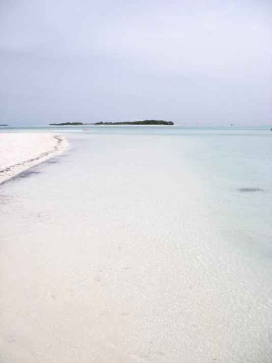sos maldive - 1