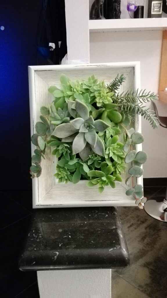 Bomboniera.. bonsai? pianta grassa? - 1