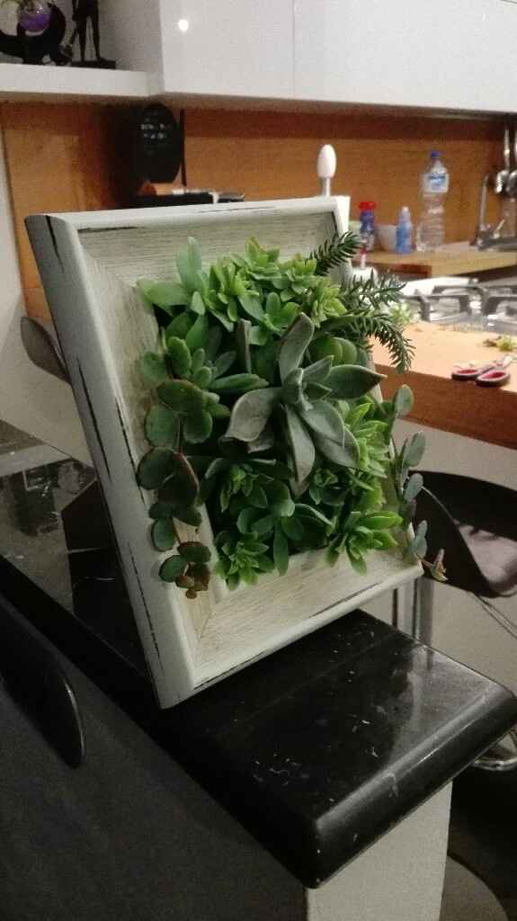 Bomboniera.. bonsai? pianta grassa? - 2