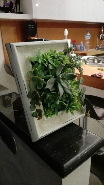 Bomboniera.. bonsai? pianta grassa? - 2