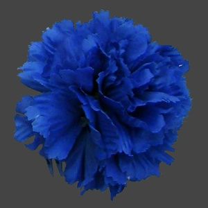 fiore capelli blu