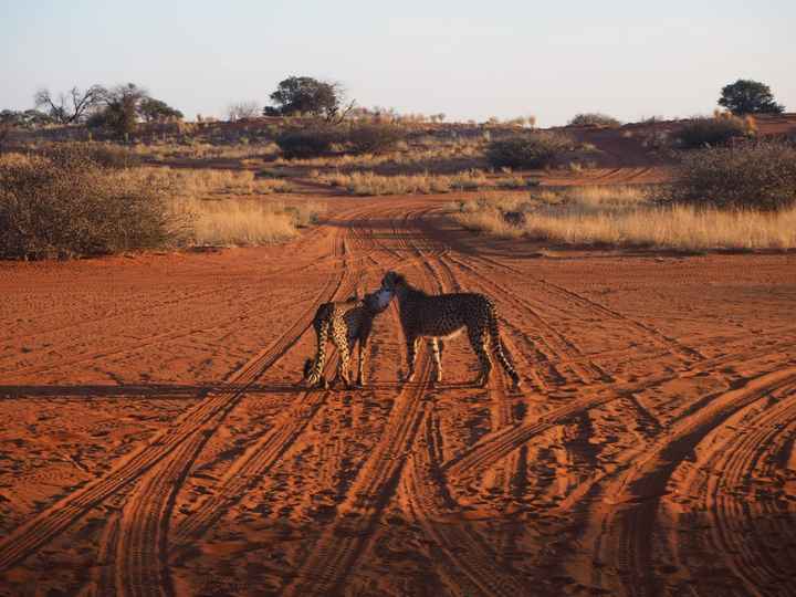 Viaggio di nozze dove? - 2