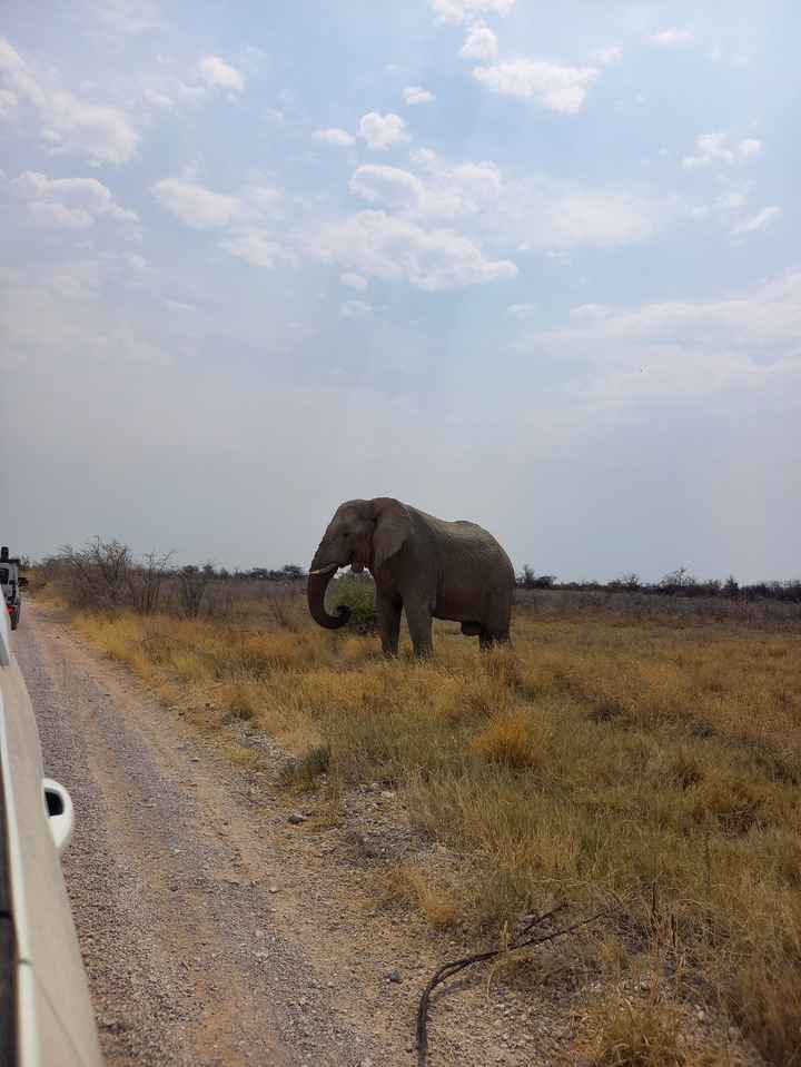 Viaggio di nozze dove? - 4