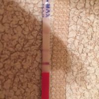 Test ovulazione come test t gravidanza - 2