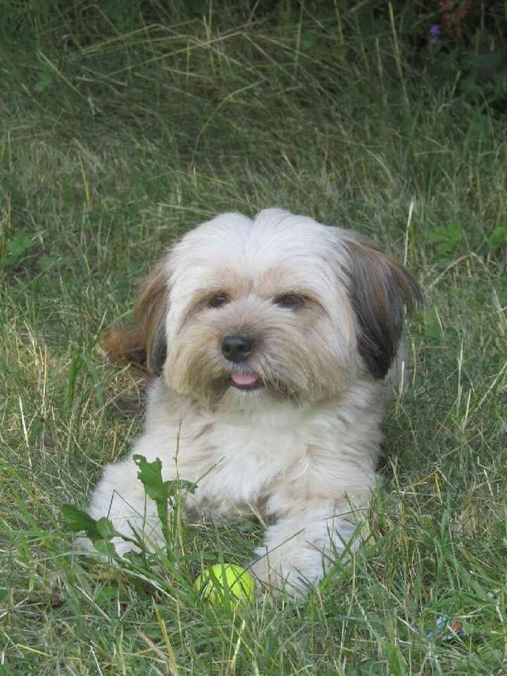 La nuova arrivata ?? - 1