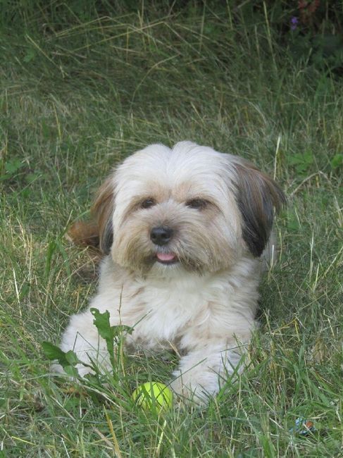 La nuova arrivata ?? - 1