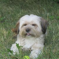 La nuova arrivata ?? - 1