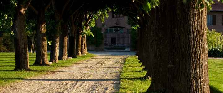 Il viale dei Tigli