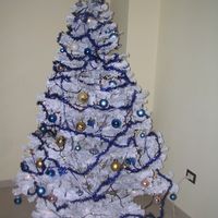 ALBERO