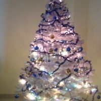ALBERO 1 