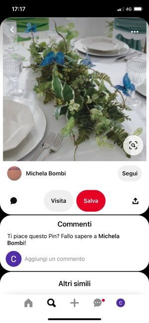 Il colore del mio matrimonio sarà verde petrolio, come tema avevo pensato alle farfalle, e come segnaposto avevo pensato a delle saponette. Troppi tem 4