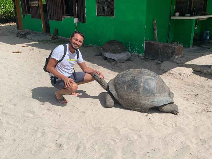 S.o.s viaggio di nozze fine giugno - 1