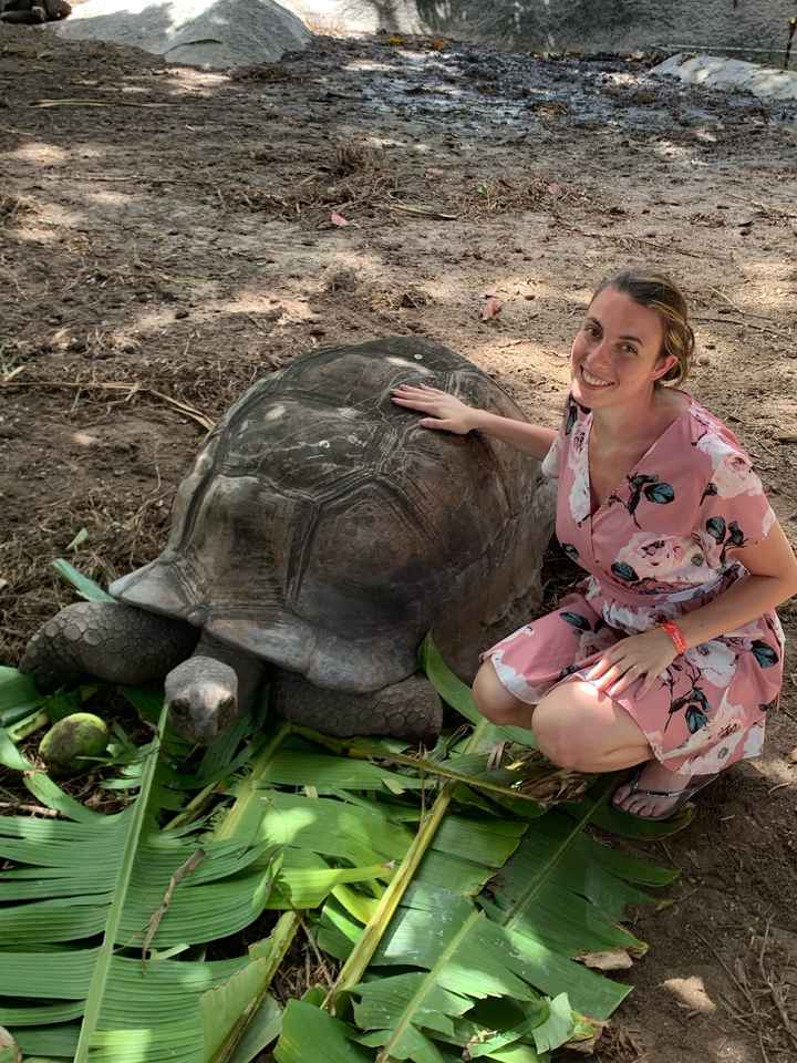 S.o.s viaggio di nozze fine giugno - 2