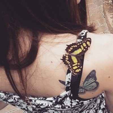 Quale tema scegliereste? - 1