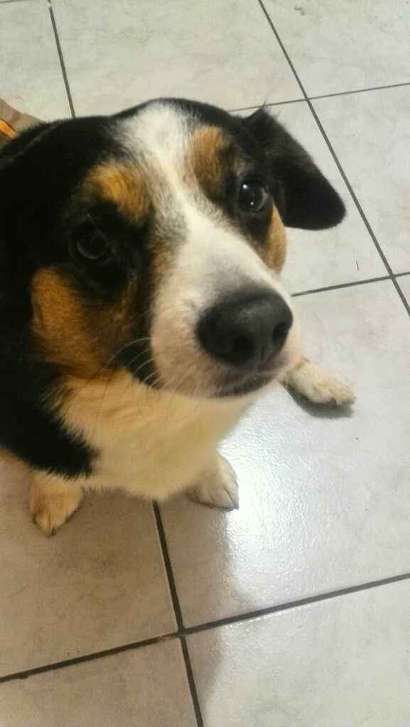 LUI IL MIO BAMBINO PELOSO! 