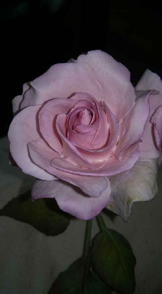 Bouquet di stoffa - 2