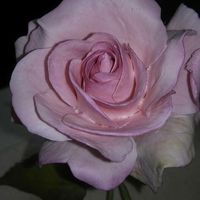 Bouquet di stoffa - 2