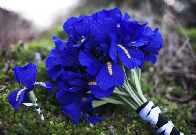 Bouquet sposa azzurro/blu 7