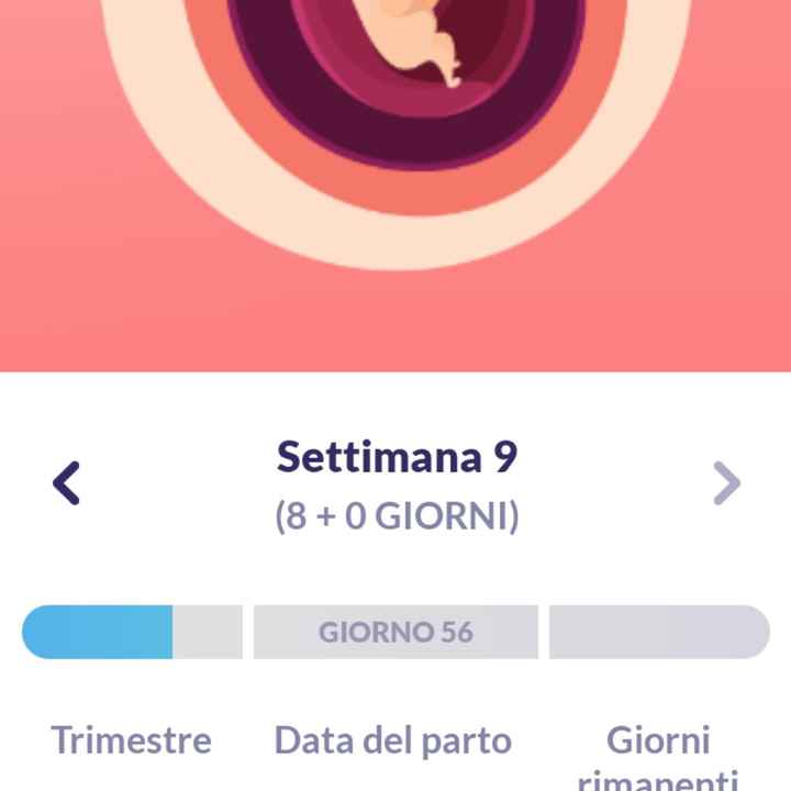 Future mamme Dicembre 2021 🎄🎁💙🎀 - 1