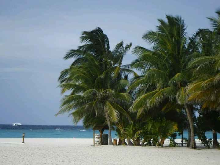 Crisi messico o sri lanka +seyschelles - 14