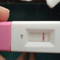 chi non le aspetta per aprile 2021😎❤️🤞❤️🍀 - 1