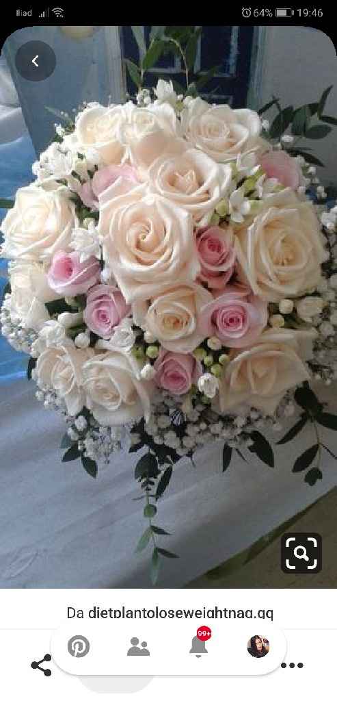 Matrimonio in rosa - 1