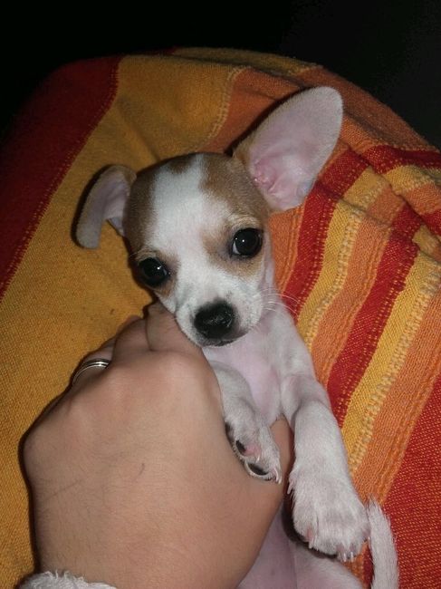 Vi presento il mio bambino *-* - 1