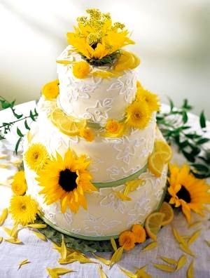 Torte - 1