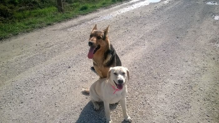 Golia e Cleo inseparabili