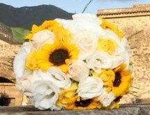 Bouquet girasoli